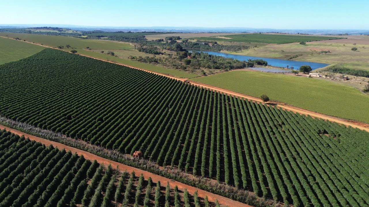 Vista aérea de uma plantação de café no Cerrado Mineiro, foto da Oro Nero